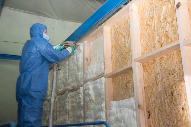 Best Spray Foam Insulation  in Derby, KS