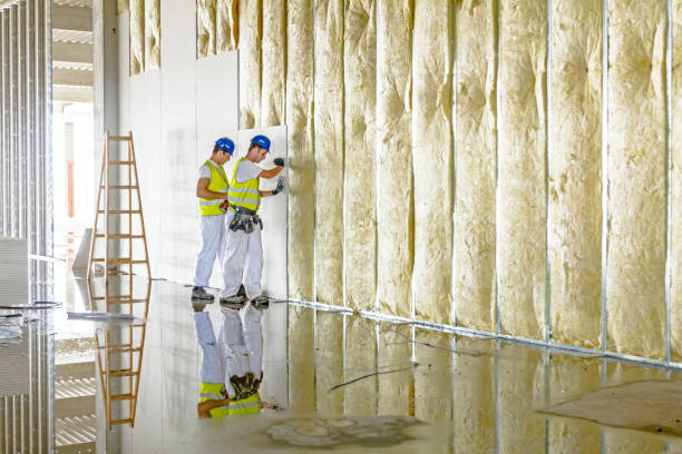 Insulation Repair Services in Derby, KS